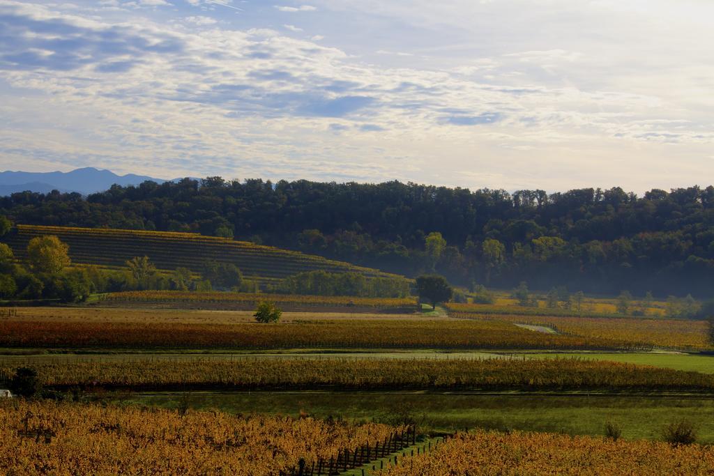 Gigante Wine & Welcome Corno di Rosazzo Экстерьер фото